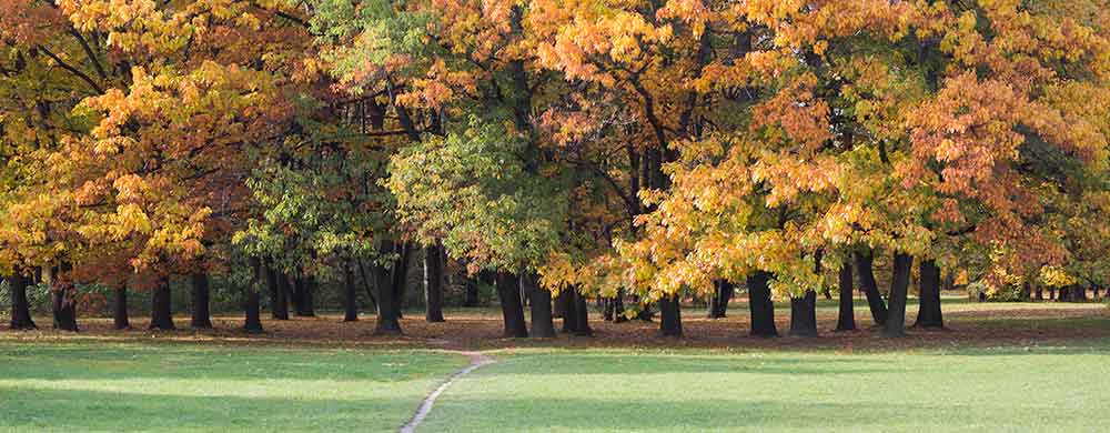 Live in Grand Blanc Township Michigan and Enjoy Green Parks and Recreation