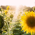 5 Ways to Celebrate National Simplify Your Life Week