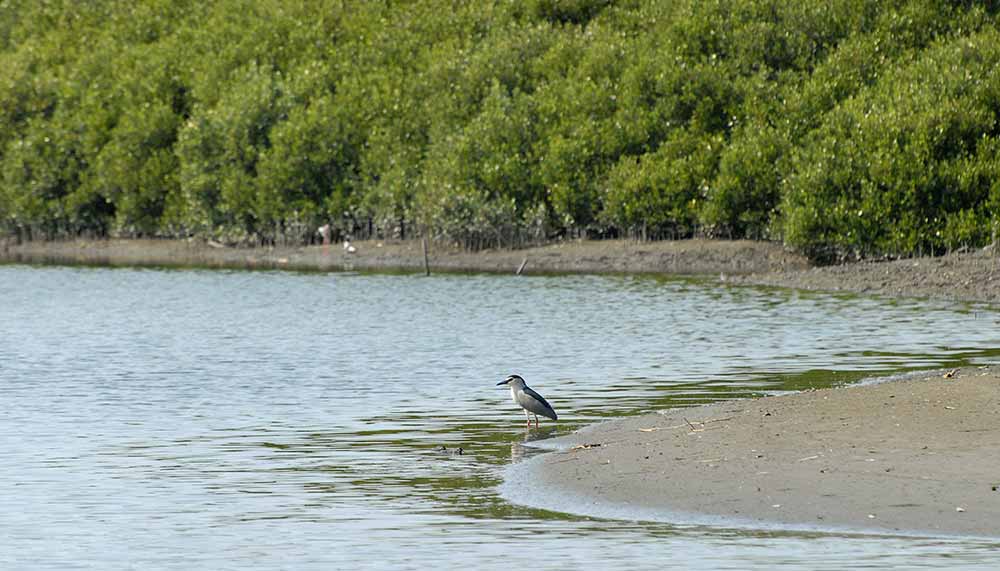 5 Fun Things to Do in Fort Wayne Indiana on the Weekend Indiana Eagle Marsh Nature Preserve