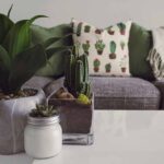 Are Houseplants A Form of Decor?