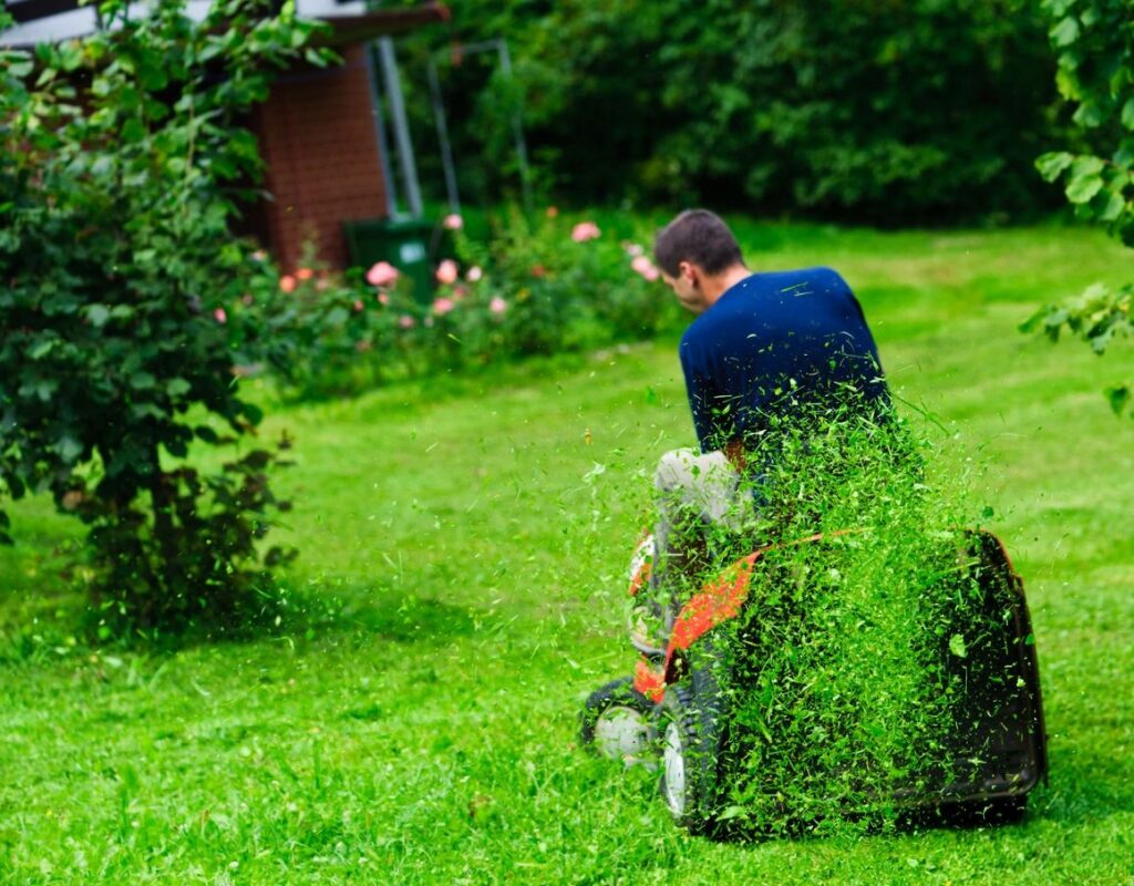 maintenance free from lawn care