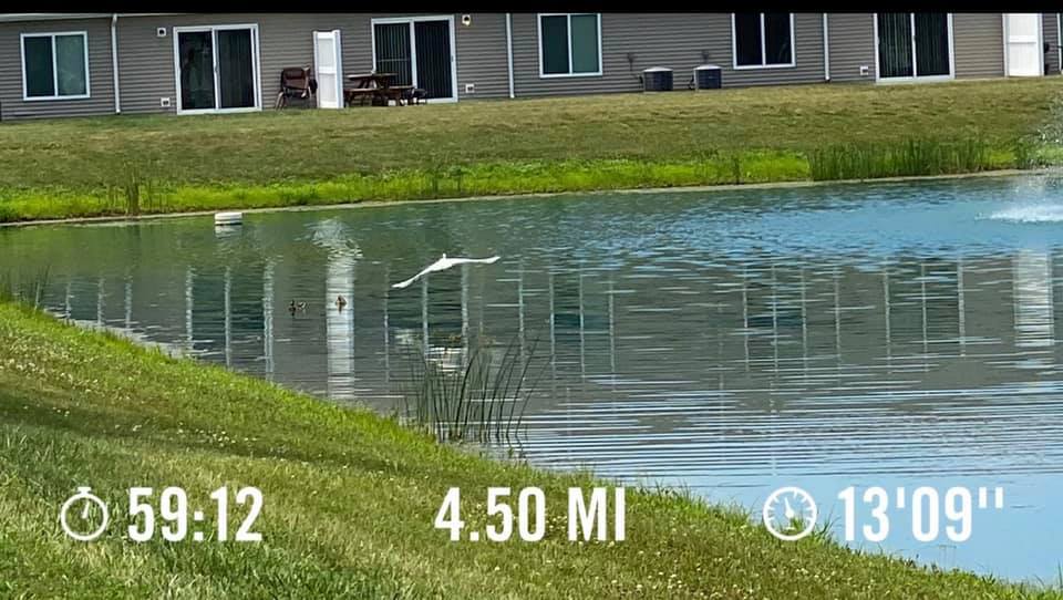 Redwood Canal Winchester Ohio Apartment Rentals Running Path Pond