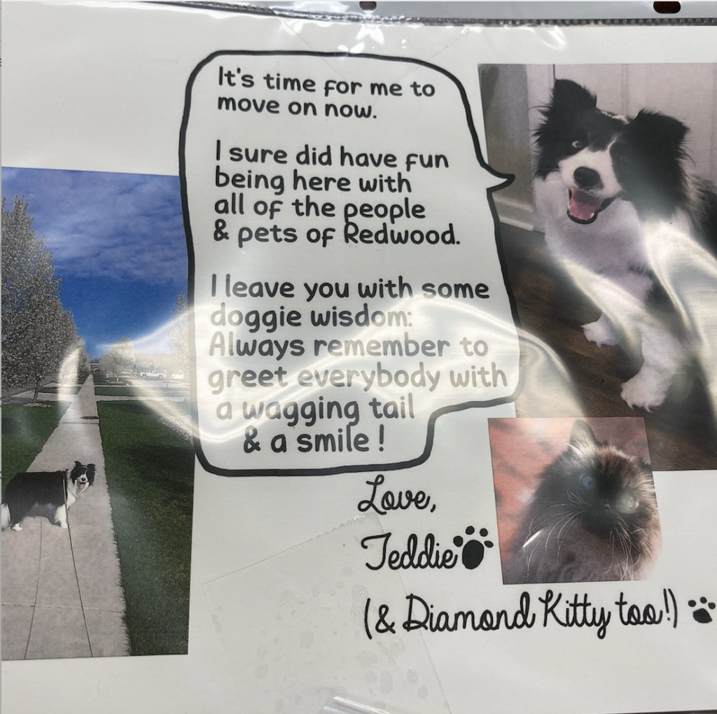 Redwood Vermilion Teddie dog goodbye letter to neighborhood manager