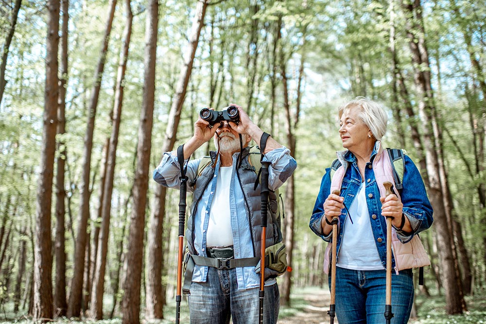 Apartment Staycation ideas: take a local hike in the woods