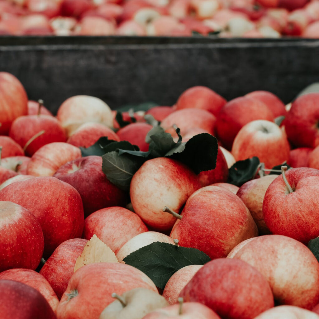 Apples in a basket